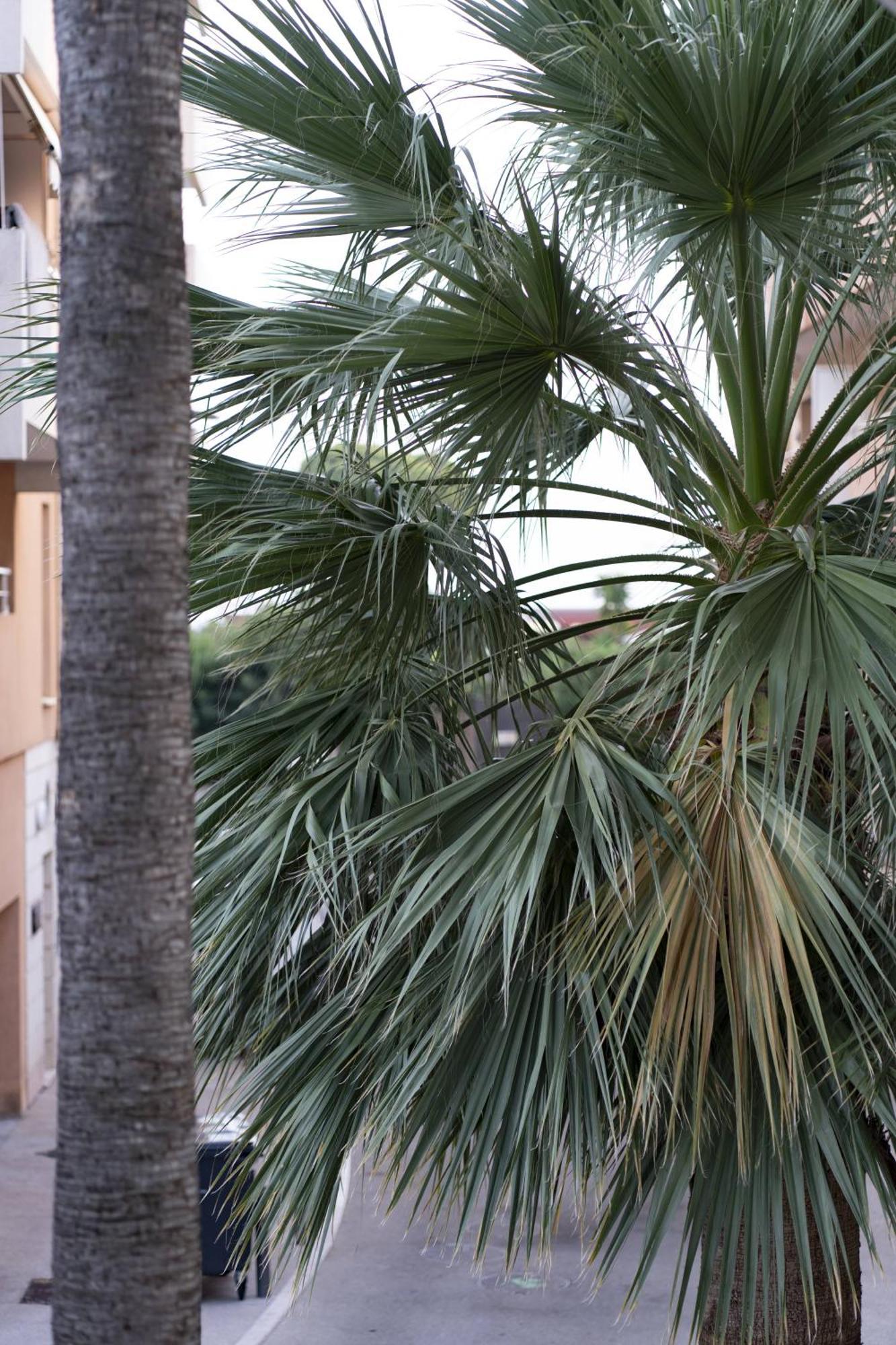 La Petit Maisonette De Manu Cannes Exteriör bild